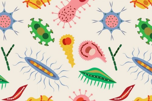 You are your microbiome